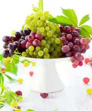 Viniče Viniče